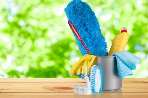 Regular cleaning for a Harrow home interior