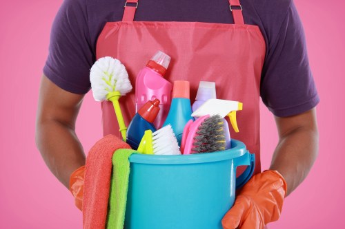 Pet stain cleaning process in a Harrow flat with limited access