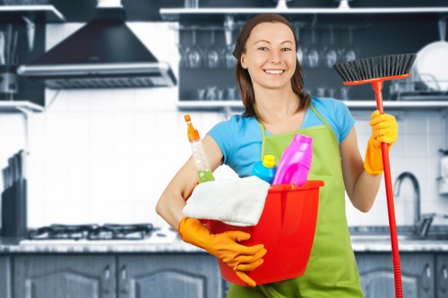 Cleaner working in a family home in Harrow