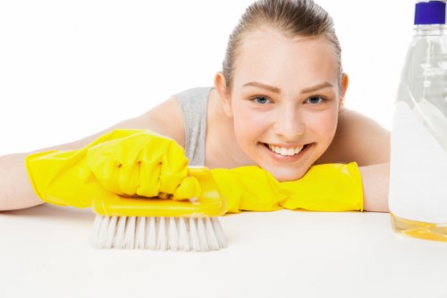 Domestic cleaning tasks in a kitchen and bathroom