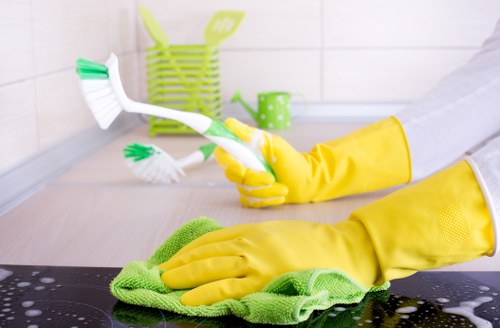 Cleaning stubborn stains from carpets and furniture in Harrow
