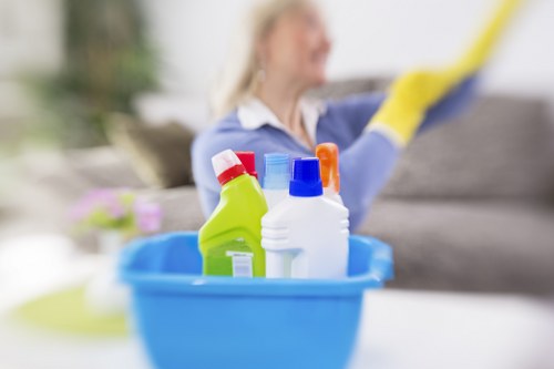 Local cleaner servicing a flat in Harrow
