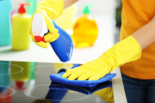 Bright, streak-free windows after local cleaning service in Harrow