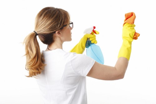 Cleaner washing residential windows with care in Harrow