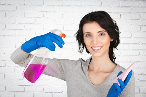 Professional cleaning for flats and houses in Harrow