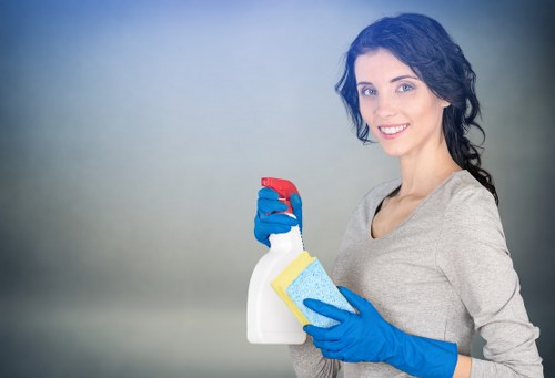 Professional fabric chair cleaning in a Harrow home