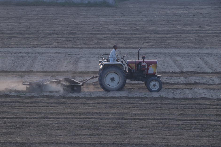A person operating a tractor equipped with a disc harrow, working on a large, flat, and dry agricultural field with visible furrows. The scene is captured in natural daylight, with the soil appearing well-tilled and free of debris. The tractor is positioned towards the right side of the image, with dust slightly rising from the ground as it moves. In the background, there are no buildings or vegetation, highlighting the expansive farmland. This image emphasizes surface disturbance and land preparation processes relevant to deep cleaning or surface maintenance in agricultural settings, and is associated with the services provided by Cleaner Harrow in maintaining clean and hygienic environments.