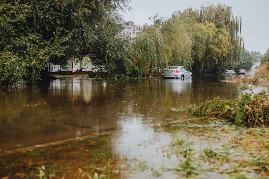 A flooded street in a residential area featuring multi-story buildings with pastel-colored facades, including pink, yellow, and green, along with red-tiled roofs. The water has risen to cover the cobblestone pavement, reaching the windows and doors, with some vehicles and pedestrians partially submerged. Bright sunlight illuminates the scene, highlighting the wet surfaces and casting shadows from nearby trees and building structures. This image reflects the aftermath of a flood in an urban environment, emphasizing the importance of surface cleaning and maintenance to restore hygiene and safety, as provided by Cleaner Harrow. The scene is devoid of visible cleaning tools or personnel, focusing solely on the flood impact on the residential street.